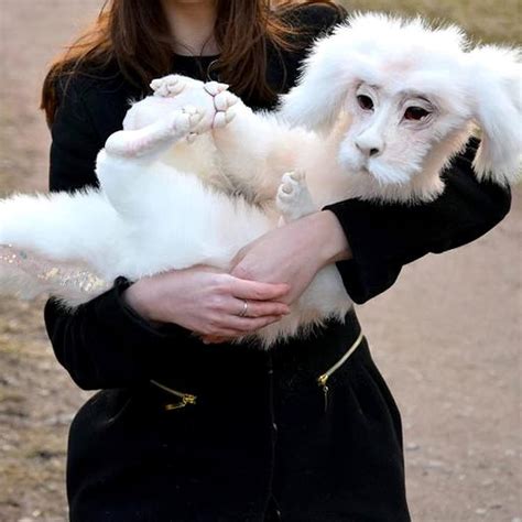 Uncover the Future with The Fuchur: Revolutionary Insights Await!