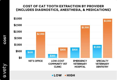 Best Financing for Tooth Extraction Cost