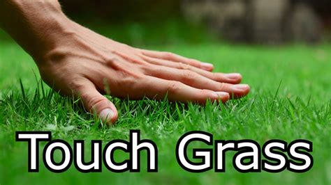 Discover the True Touch Some Grass Meaning and Its Modern Relevance