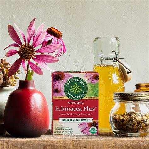 Uncovering The Traditional Uses Of Echinacea