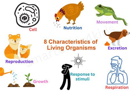 Defining What Makes Living Organisms Unique