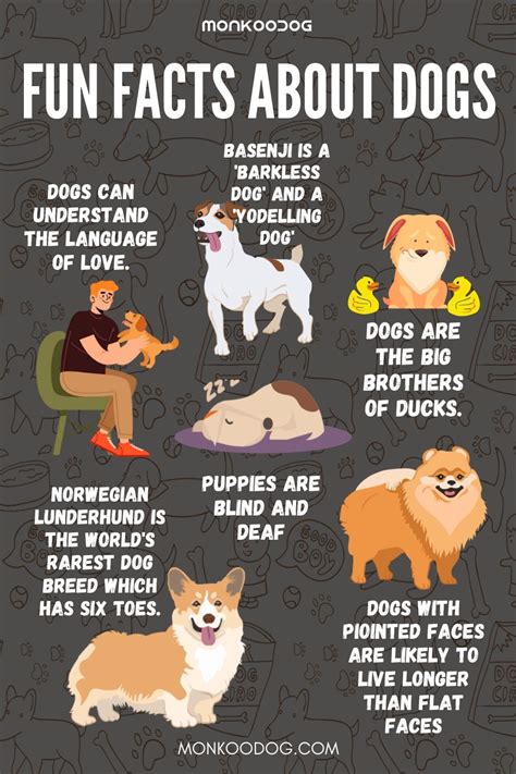Unusual Facts About Dogs That Will Shock You