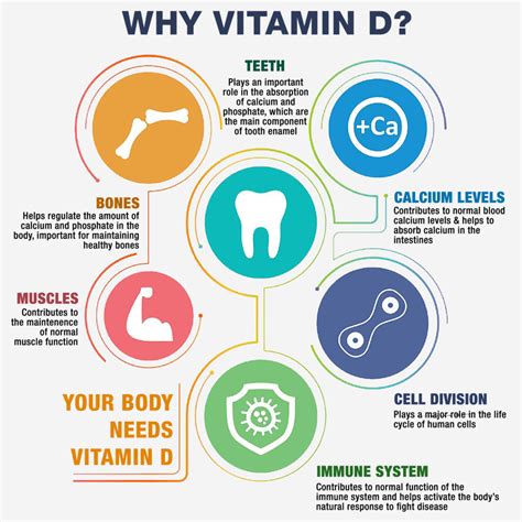 Vitamin D Function: Why Your Body Actually Needs It