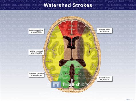 Mapping The Brain’s Watershed Zones: How To Reset Your Neural Pathways