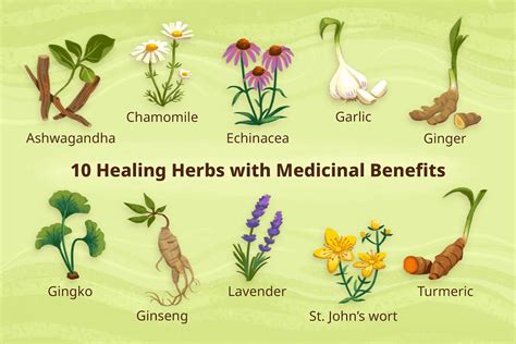 What Herbs Help With What A Complete Guide