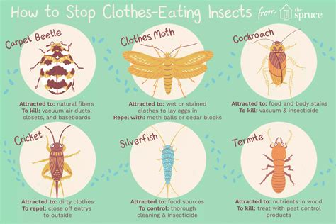 What Insects Eat Cotton And How To Control Them