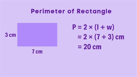 What Is The Perimeter Of A Rectangle