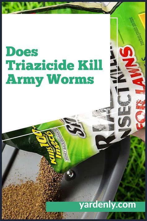 What Worms Does Quest Plus Kill A Complete Guide For Dog Owners
