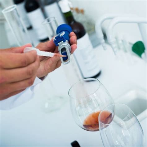 Wine Lab